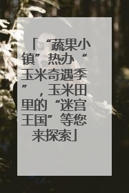 “蔬果小镇”热办“玉米奇遇季”，玉米田里的“迷宫王国”等您来探索