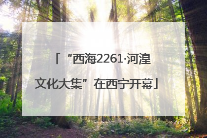 “西海2261·河湟文化大集”在西宁开幕