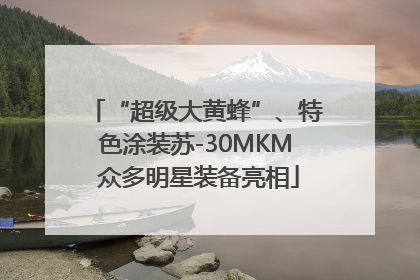 “超级大黄蜂”、特色涂装苏-30MKM 众多明星装备亮相
