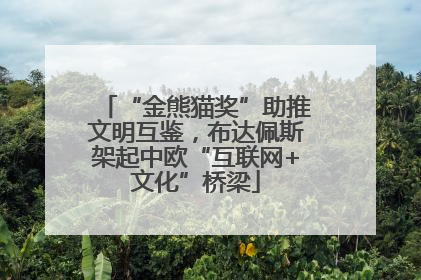 “金熊猫奖”助推文明互鉴，布达佩斯架起中欧“互联网+文化”桥梁