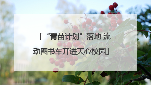 “青苗计划”落地 流动图书车开进天心校园