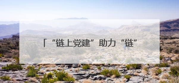 “链上党建”助力“链”上生辉——阜城县推动党建工作与产业发展深度融合