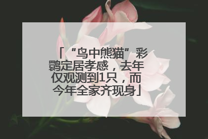 “鸟中熊猫”彩鹮定居孝感，去年仅观测到1只，而今年全家齐现身