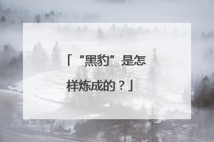 “黑豹”是怎样炼成的？