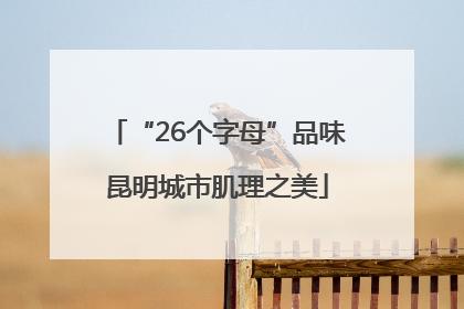 “26个字母”品味昆明城市肌理之美