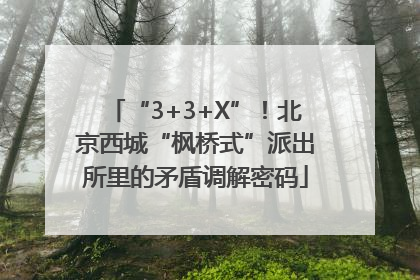 “3+3+X”！北京西城“枫桥式”派出所里的矛盾调解密码