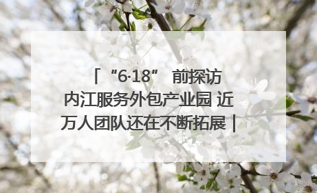 “6·18” 前探访内江服务外包产业园 近万人团队还在不断拓展｜内江东兴“红”在哪⑤