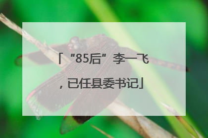 “85后”李一飞，已任县委书记