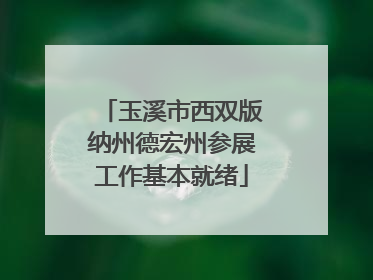 玉溪市西双版纳州德宏州参展工作基本就绪