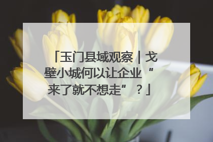 玉门县域观察｜戈壁小城何以让企业“来了就不想走”？