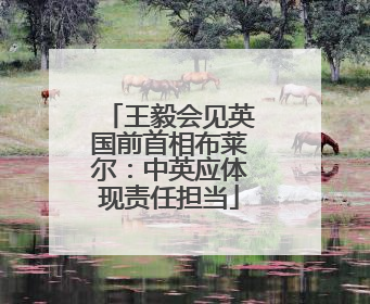 王毅会见英国前首相布莱尔：中英应体现责任担当