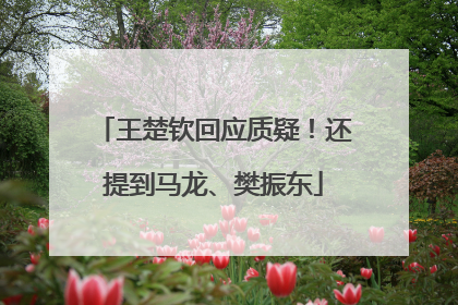 王楚钦回应质疑！还提到马龙、樊振东