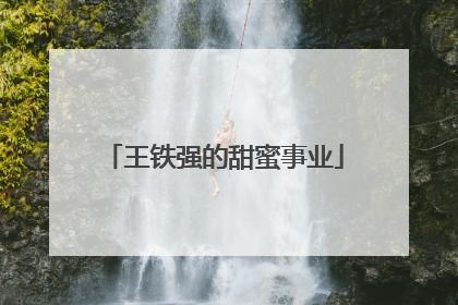 王铁强的甜蜜事业