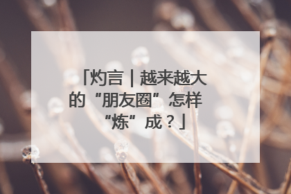 灼言｜越来越大的“朋友圈”怎样“炼”成？