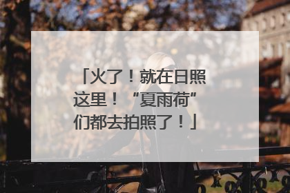 火了！就在日照这里！“夏雨荷”们都去拍照了！
