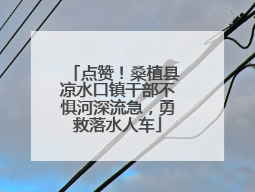 点赞！桑植县凉水口镇干部不惧河深流急，勇救落水人车