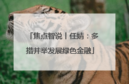 焦点智说丨任婧：多措并举发展绿色金融