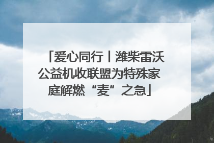 爱心同行丨潍柴雷沃公益机收联盟为特殊家庭解燃“麦”之急