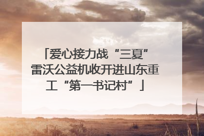 爱心接力战“三夏” 雷沃公益机收开进山东重工“第一书记村”
