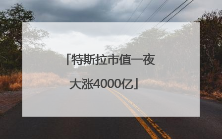 特斯拉市值一夜大涨4000亿