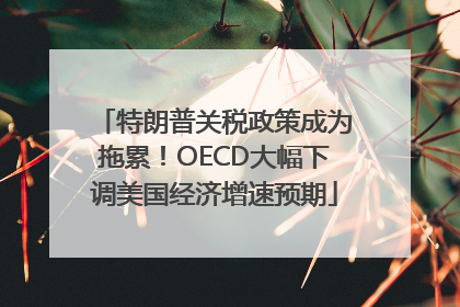 特朗普关税政策成为拖累！OECD大幅下调美国经济增速预期