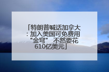 特朗普喊话加拿大：加入美国可免费用“金穹” 不然要花610亿美元