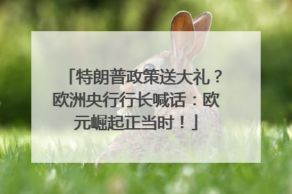 特朗普政策送大礼？欧洲央行行长喊话：欧元崛起正当时！