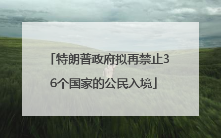 特朗普政府拟再禁止36个国家的公民入境