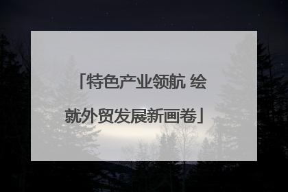 特色产业领航 绘就外贸发展新画卷