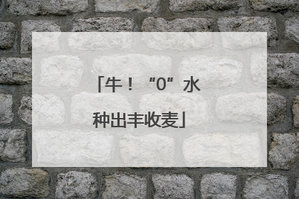 牛！“0”水种出丰收麦