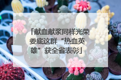 献血献浆同样光荣 娄底这群“热血英雄”获全省表彰