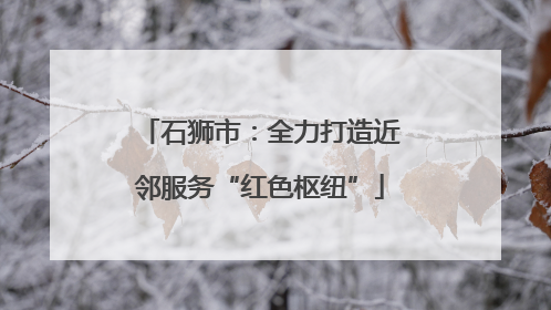 石狮市：全力打造近邻服务“红色枢纽”