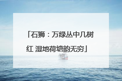石狮：万绿丛中几树红 湿地荷塘韵无穷