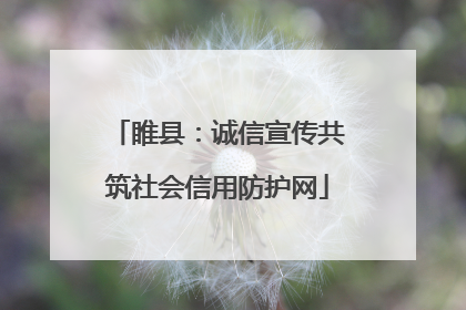 睢县：诚信宣传共筑社会信用防护网