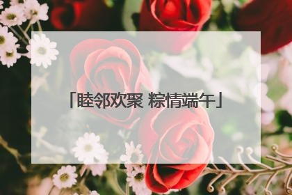 睦邻欢聚 粽情端午