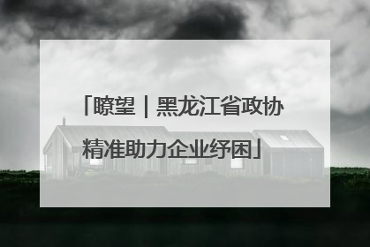 瞭望｜黑龙江省政协精准助力企业纾困