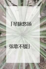 琴脉悠扬 弦歌不辍