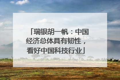 瑞银胡一帆：中国经济总体具有韧性，看好中国科技行业