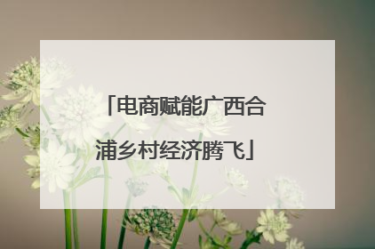 电商赋能广西合浦乡村经济腾飞