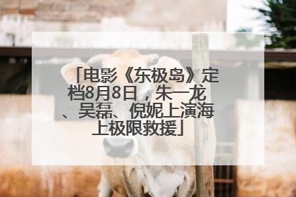 电影《东极岛》定档8月8日，朱一龙、吴磊、倪妮上演海上极限救援