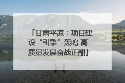 甘肃平凉：项目建设“引擎”轰鸣 高质量发展奋战正酣