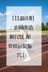 甘肃庆阳：农网改造解民忧 配变投运促振兴