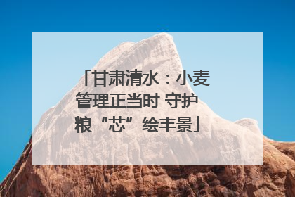 甘肃清水：小麦管理正当时 守护粮“芯”绘丰景