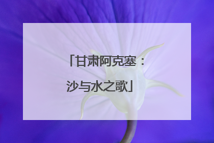 甘肃阿克塞：沙与水之歌