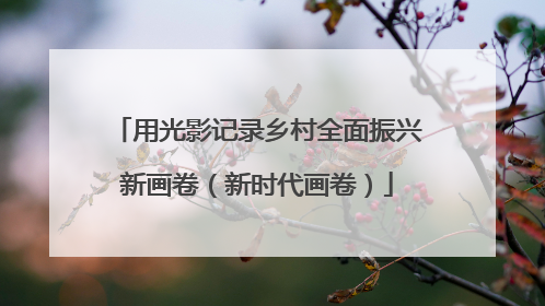 用光影记录乡村全面振兴新画卷（新时代画卷）