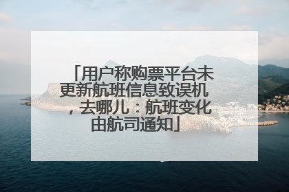 用户称购票平台未更新航班信息致误机，去哪儿：航班变化由航司通知