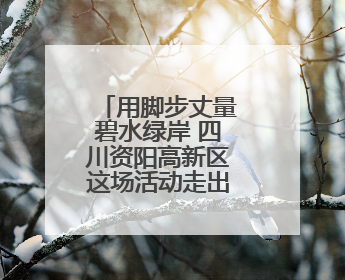 用脚步丈量碧水绿岸 四川资阳高新区这场活动走出低碳新时尚