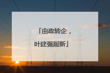 由政转企，叶建强履新