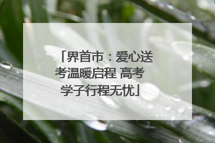 界首市：爱心送考温暖启程 高考学子行程无忧