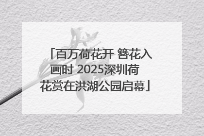 百万荷花开 簪花入画时 2025深圳荷花赏在洪湖公园启幕